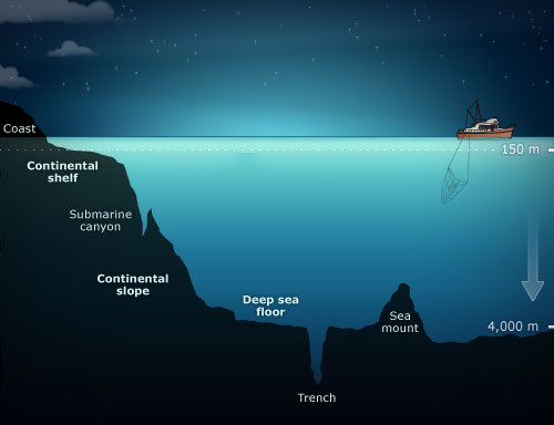 seafloor diagram