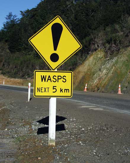 Wasp Warning