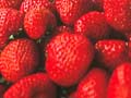 Waimate strawberries