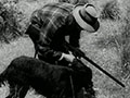 Hunting with dogs