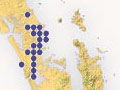 Distribution of kookaburras