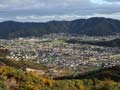 Wainuiomata