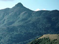 Mt Moehau, Coromandel Peninsula