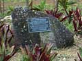Garden of seven stones, Rarotonga, Cook Islands