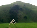 Te maunga a Whiria