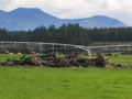 Irrigated Southland dairy pastures
