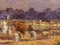 Sheep and cattle, Taranaki