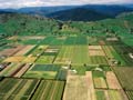 Waimea Plains