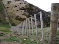 North Island wire fence