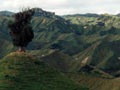 Whanganui hill country