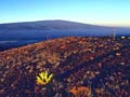 Mauna Loa i Hawaii