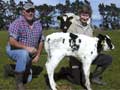 Taieri dairy farmers