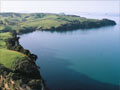 Motutapu Island