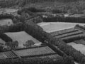 Citrus orchards, Kerikeri, 1947 