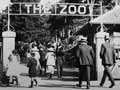 Wellington Zoo postcard