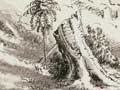 Bush clearing near Ōeo, 1893