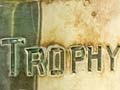 Trophy for horses