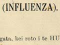 Influenza advice