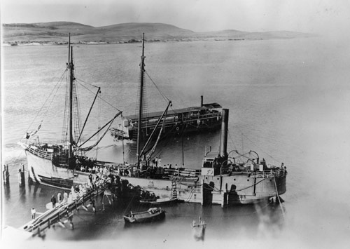 Vessels at Port Waikato