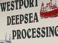 Westport Deep Sea Fishing School