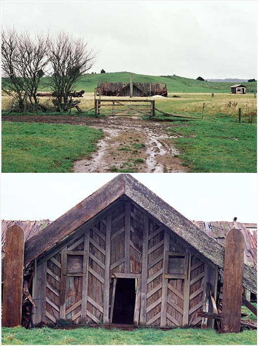 Miringa Te Kakara cruciform house