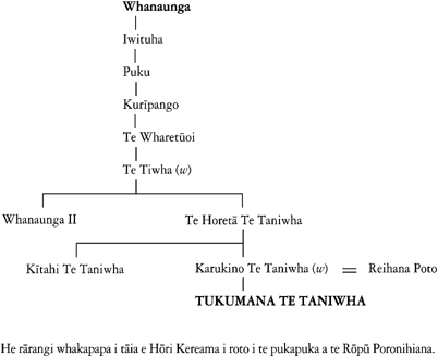 Whakapapa of Tukumana Te Taniwha