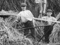 Boys' Training Farm, Weraroa, 1912
