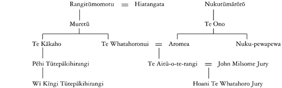 Whakapapa of Te Aitū-o-te-rangi Jury and Hoani Te Whatahoro Jury