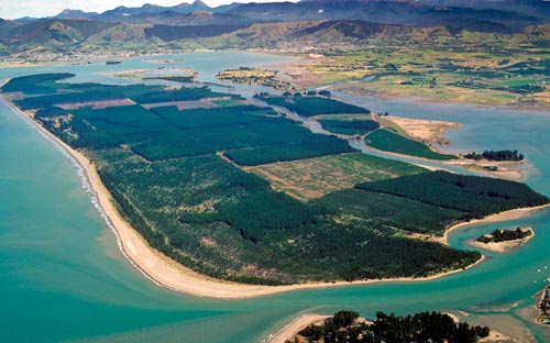 Rabbit Island, Nelson, NZ - Must-do experience in New Zealand - top Travel tips