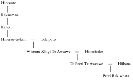 Whakapapa of Te Peeti Te Aweawe