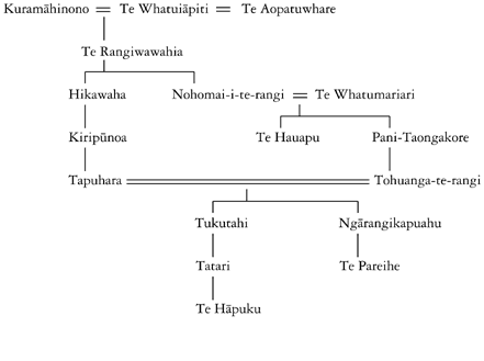 Whakapapa of Te Pareihe and Te Hāpuku