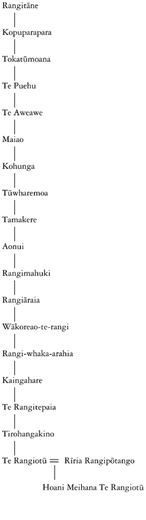 Whakapapa of Hoani Meihana Te Rangiotū