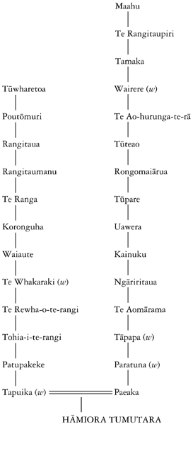 Whakapapa of Hāmiora Tumutara Te Tihi-o-te-whenua Pio