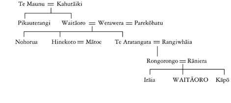 Whakapapa of Waitāoro