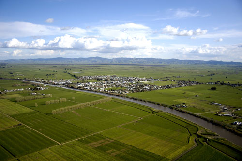 The Hauraki Plains