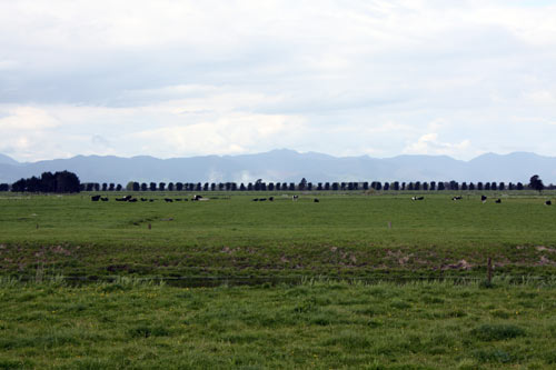 Hauraki Plains, 2010
