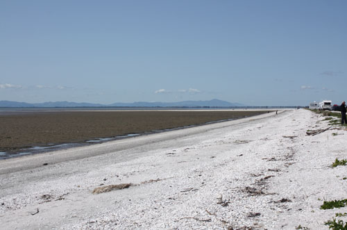 Chenier plain, Firth of Thames