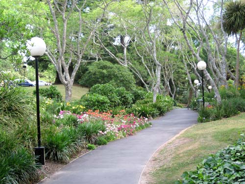 Waikato University campus pathway