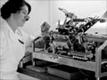 Smallpox vaccine production, 1970