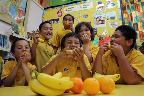 Fruit in schools