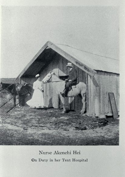 Māori nurses
