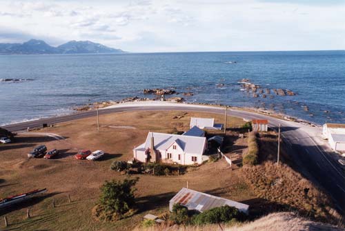 Whales in Kaikōura: Fyffe House