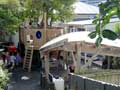 Early childhood education centres: Adelaide Early Childhood Centre, Wellington