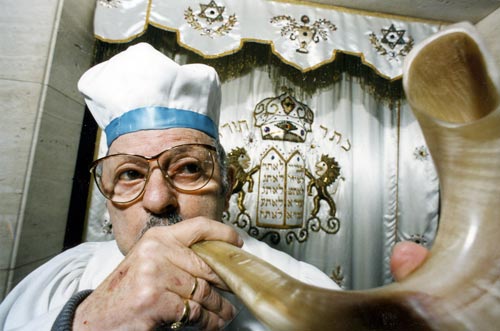 Orthodox rabbi, Wellington