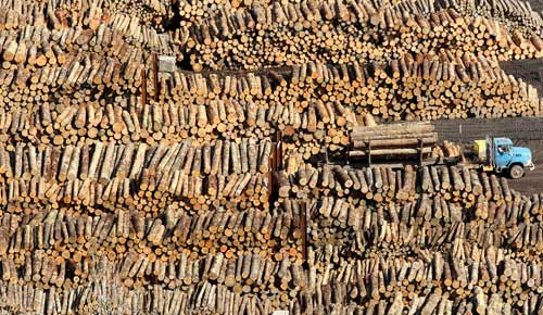 Logs waiting to be shipped