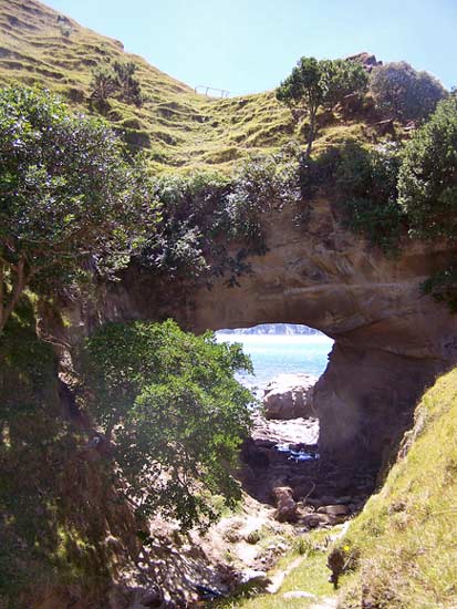 Arched rock, Tolaga Bay: 2011