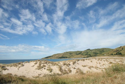 Sand dunes at Pouawa