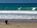 Surfing at Wainui Beach, Gisborne