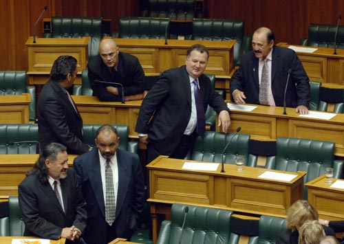 Māori MPs, 2005