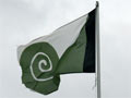 Hundertwasser flag